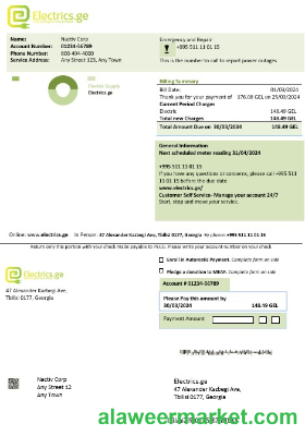 Georgia Electrics.ge electricity business bill template in Word and PDF formats1